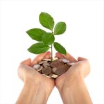 Donate-Seedling-in-Coins-in-Hands
